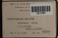 Image Associated With the Occurence